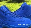 Air Retro Wings Jordan 12 Authentic 0519